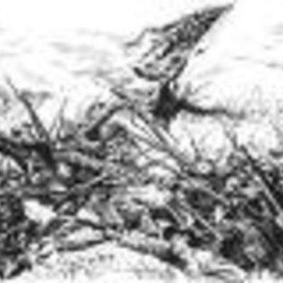 Timeline: The Civil War