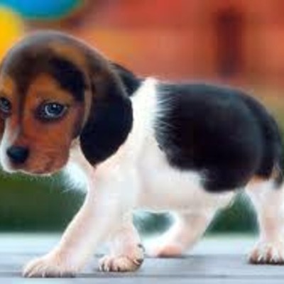 Timeline: kool books