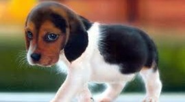 Timeline: kool books