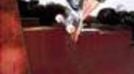 Timeline: Anthony Frank Hawk