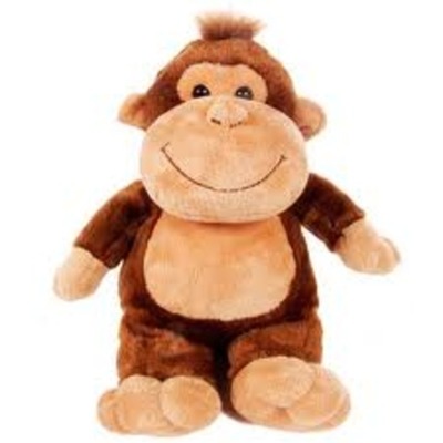 Timeline: Eden Humbert, 3L