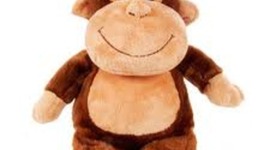 Timeline: Eden Humbert, 3L