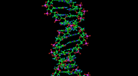 Timeline: History of DNA