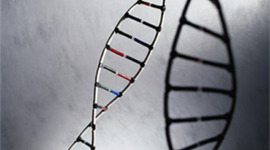 Timeline: Genetics Timeline