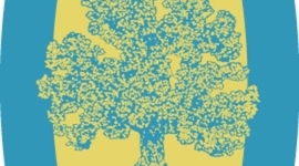 Timeline: BOS Development Calendar 2011-2012