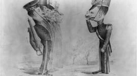 Timeline: Alison C's  Timeline