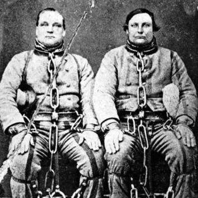 Timeline: Mrs Giebel's Colonisation Timeline