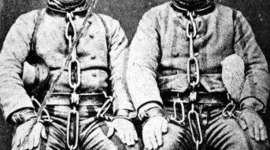 Timeline: Mrs Giebel's Colonisation Timeline