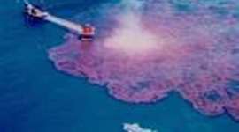 Timeline: Gulf of Mexico Oil Spill Timeline