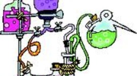 Timeline: Organic Chemistry