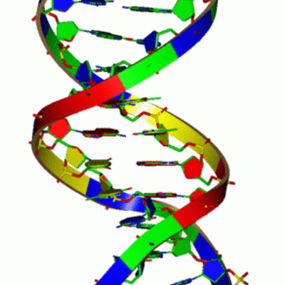 Timeline: Genetics Timeline