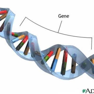 Timeline: Matt Green: Mr.Wolfgangs Gene time