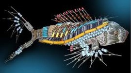 Timeline: Electrónica