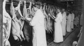 Timeline: A Time in America where we didnt know