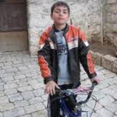 Timeline: Cybers life