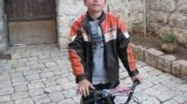 Timeline: Cybers life