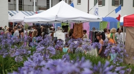 Timeline: Timeline Test