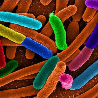 Timeline: The Evolution of Medicene-samar