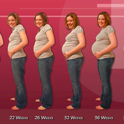 Timeline: Pregnanancy