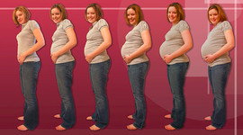 Timeline: Pregnanancy