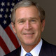 Bush