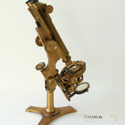 Timeline: The Microscope