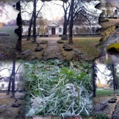 Timeline: Історія Вересоцької школи