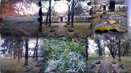 Timeline: Історія Вересоцької школи