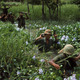 2009 9 1 11 8 23 797 paul schutzer american soldiers wade through marshy area during the vietnam war
