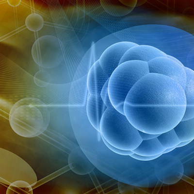 Timeline: Stem Cell Research