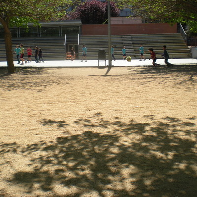 Timeline: Linia del temps estada a l'escola