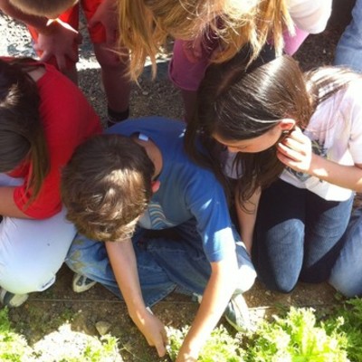 Timeline: Sortim de classe!