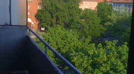 Timeline: Der Angriff auf den Osterhasen