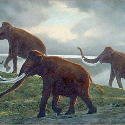 Timeline: Quaternary Period