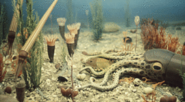 Timeline: Ordovician Period