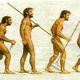 Caricatura evolucion humana 1
