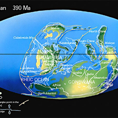 Timeline: Devonian Time- 1 year=1 million years