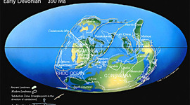 Timeline: Devonian Time- 1 year=1 million years