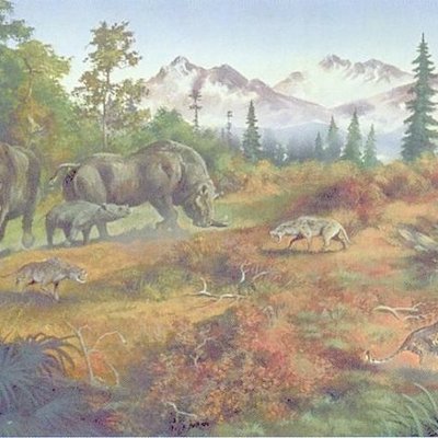 Timeline: Tertiary Period