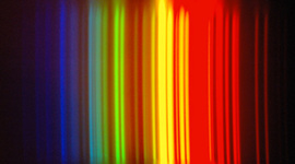 Timeline: Nicole   timeline