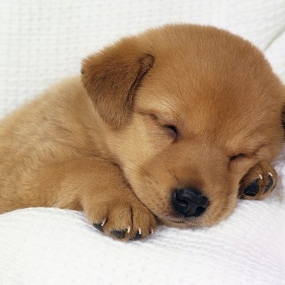 Timeline: birth to future