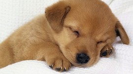 Timeline: birth to future