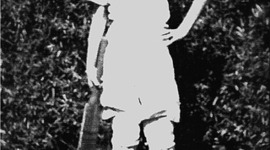 Timeline: Ian Beazley's Cricket History