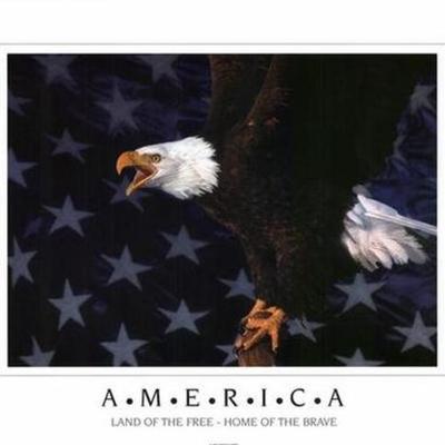 Timeline: History of the American People - Timeline - Final Project