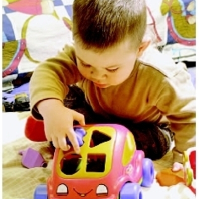 Timeline: Toddler Developmet