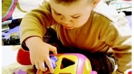 Timeline: Toddler Developmet