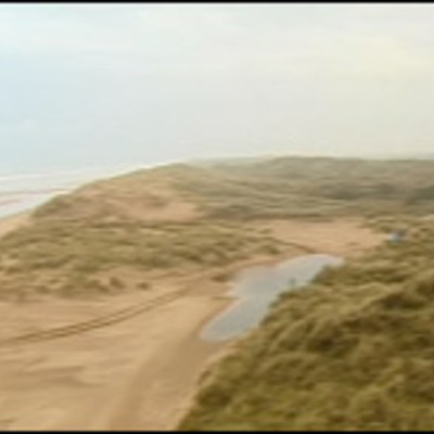 Timeline: Organisations