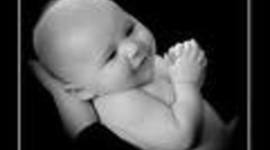 Timeline: Toddler Timeline