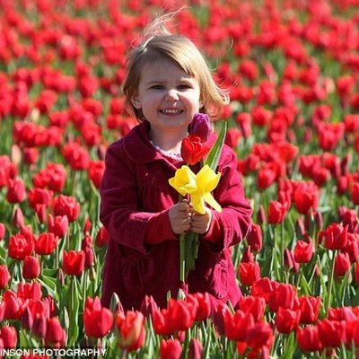 Timeline: Toddling Down Development Drive