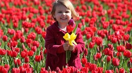 Timeline: Toddling Down Development Drive